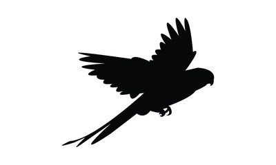 Obraz premium Flying Parakeet Bird Silhouette Design And Vector Illustration. 