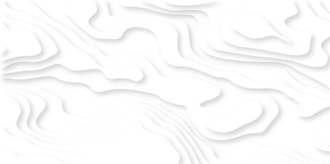 White paper cut decoration textured with wavy layers 3d topography relief background. Abstract white papercut background. Realistic papercut texture with wavy layers. 