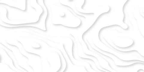 Obraz premium White paper cut decoration textured with wavy layers 3d topography relief background. Abstract white paper cut banner. Geometric layered curve line white