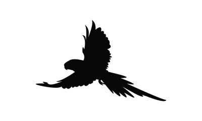 Obraz premium Flying Parakeet Bird Silhouette Design And Vector Illustration. 