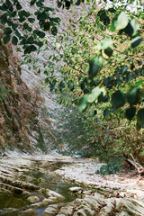 River bed. Summer vacation by the river. Relaxing sound of water.