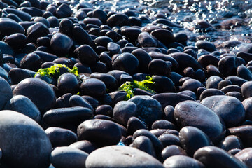 Obraz premium Pebble beach at Hongdo Island, South Korea