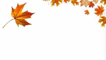 Fototapeta premium Colorful autumn leaves falling against a white background, creating an abstract and vibrant seasonal display.