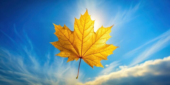 A single golden leaf stands out against a backdrop of a bright blue sky with wispy clouds, capturing the essence of autumn's beauty.