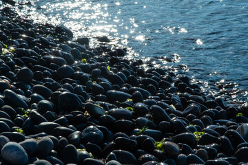 Obraz premium Pebble beach at Hongdo Island, South Korea