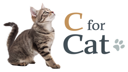 Text "C for Cat" with a photo of Cat isolated in a transparent background or white background. Perfect for kids book, book cover, educational materials preparation.