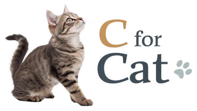 Text "C for Cat" with a photo of Cat isolated in a transparent background or white background. Perfect for kids book, book cover, educational materials preparation.