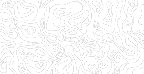 Fototapeta premium Abstract White Wave Line Topography Map Background. Vector Illustration