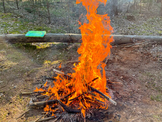 tourists lit a bonfire in the forest at a rest stop