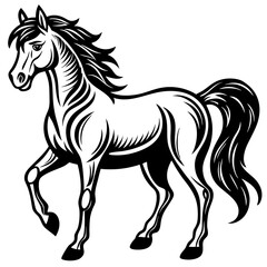 horse illustration