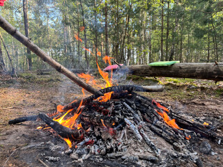 tourists lit a bonfire in the forest at a rest stop