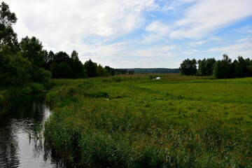 Obraz premium A view of a shallow yet vast pond or lake flowing next to vast fields covered with herbs, reeds, and various crops located next to some tiny forests and moors spotted on a cloudy summer day in Poland