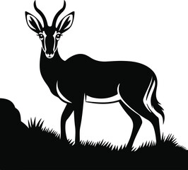 vector illustration of a silhouette deer, animal, silhouette, mammal, vector, nature, reindeer, wild, illustration, antler, wildlife, stag