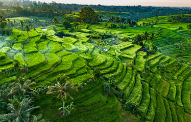 Jatiluwih Rice Terraces in Penebel district, Bali, Indonesia