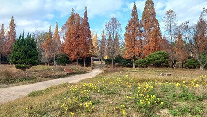 창원 올림픽공원 국화공원