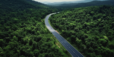 highway in the middle of the forest, bird's eye view Generative AI