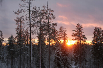 sunset in the mountains covered with snow 
