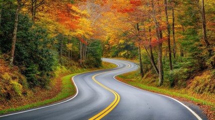 Obraz premium Winding Road Through Autumn Forest