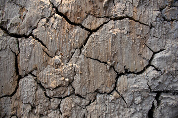 texture