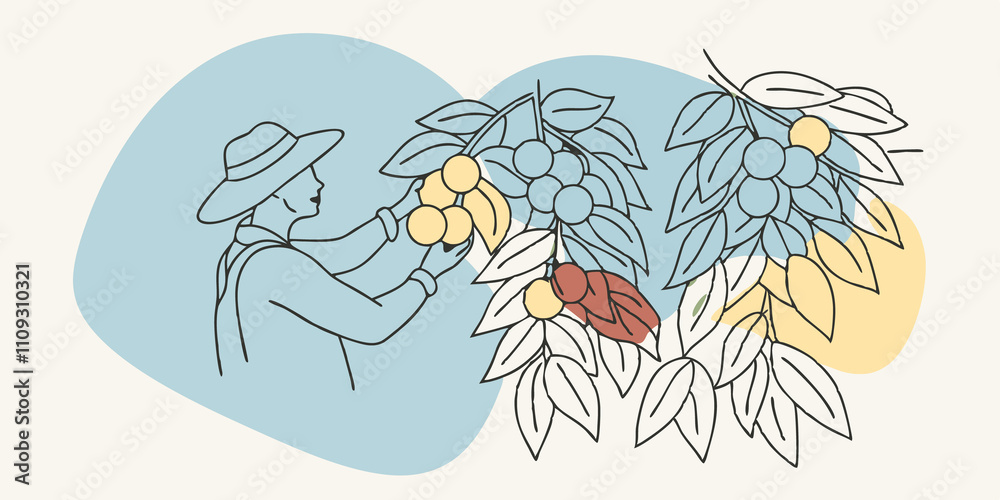 Poster Natures Palette A serene image of a person in a straw hat to examine a of ripe fruits hidden behind leaves. The surrounding trees create a natural frame with shades of green and