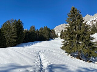 Wonderful winter hiking trails and traces over the Lake Walen or Lake Walenstadt (Walensee) and in the fresh alpine snow cover of the Swiss Alps, Walenstadtberg - Canton of St. Gallen, Switzerland