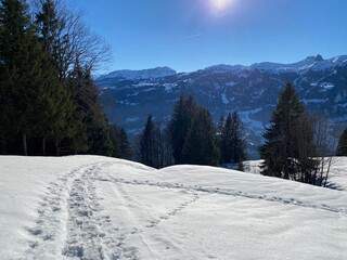 Fototapeta premium Wonderful winter hiking trails and traces over the Lake Walen or Lake Walenstadt (Walensee) and in the fresh alpine snow cover of the Swiss Alps, Walenstadtberg - Canton of St. Gallen, Switzerland
