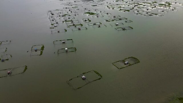 A top view of the fish and shrimp ponds at Rawa Pening.