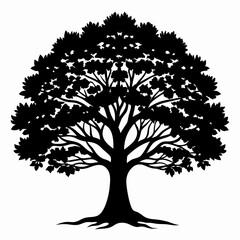 Fototapeta premium Oak Tree vector silhouette black design