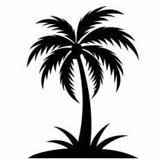 Obraz premium Palm Tree vector silhouette black design