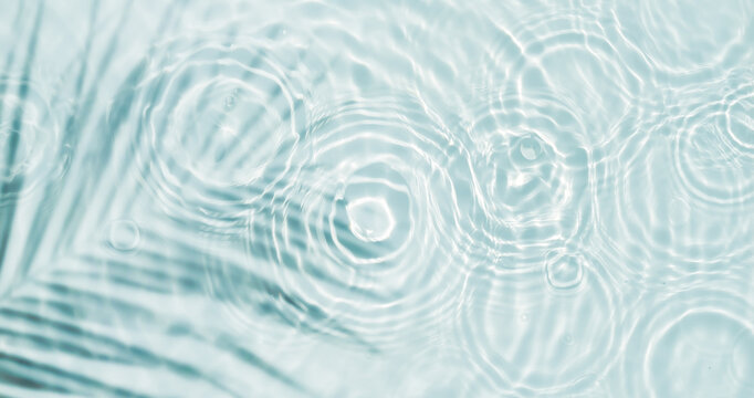 palm leaf shadow and drop circles with sunlight reflections on transparent water surface from above, water texture background concept with copy space for wellness, body and beauty care or travel