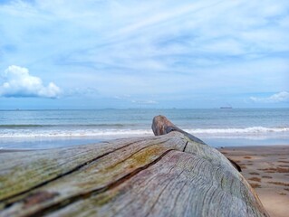 Old wooden on the beach