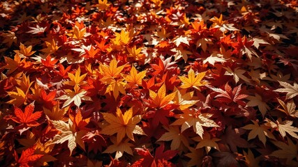 A vibrant tapestry of fallen autumn leaves, showcasing a spectrum of reds, oranges, and yellows, creating a beautiful natural mosaic.