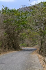 En Aragua podemos encontrar muchas carreteras secundarias,son las que nos acercan a los pequeños centros de produccion.