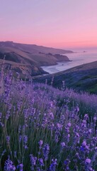 Fototapeta premium Breathtaking dusk landscape lavender blooms and tall grasses under a pastel sky by the ocean