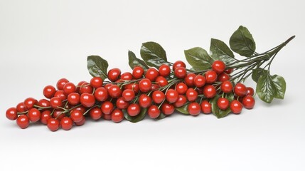 A cluster of cherries arranged with stems intact, on a plain light background for a clean, natural look