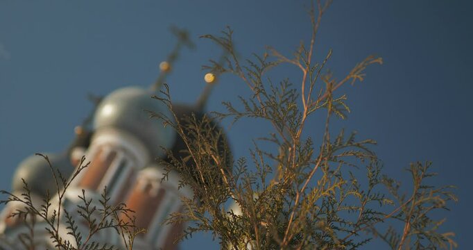 Religion. The branches of the plant against the background of the upper part of the Christian temple in disfocus. The camera is rotating. Hand held. Siberia.