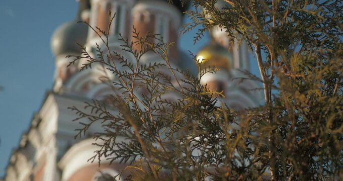 Religion. The branches of the plant against the background of the upper part of the Christian temple are out of focus. The camera is moving. Hand held.  Siberia.