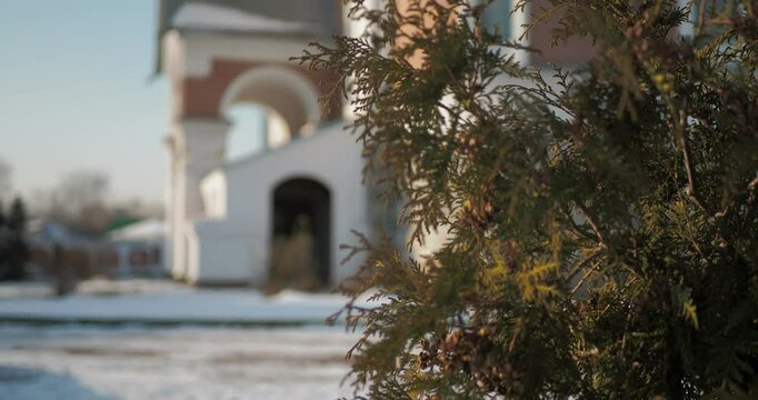 Religion. The branches of the plant against the background of the lower part of the Christian temple are out of focus. The camera is moving. In my hands. Siberia.