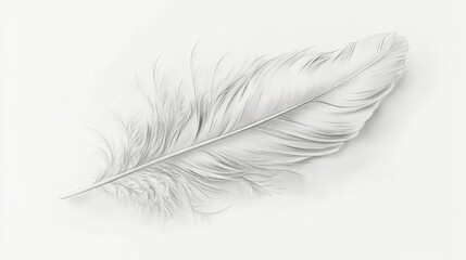 Obraz premium A delicate white feather resting on a soft, light background, showcasing intricate details and textures.