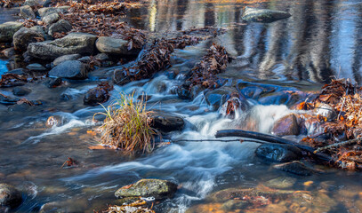 willard brook flowing throgh  the forest