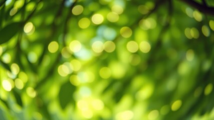 Obraz premium Abstract Green Bokeh Background with Softly Blurred Sunlit Foliage and Natural Light