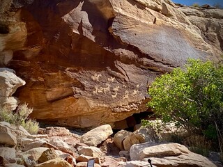 Petroglyphs at Arches National Park 