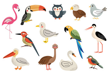 Different cartoon wild domestic birds. Cute birds set. Owl, swan, stork, flamingo, pelican, toucan, tit.