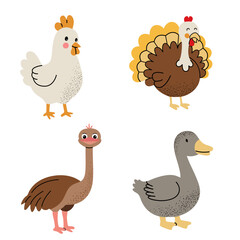 Different cartoon domestic birds. Cute birds set. Chicken, turkey, goose, ostrich