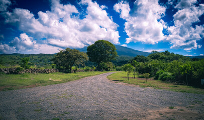 camino en la naturaleza