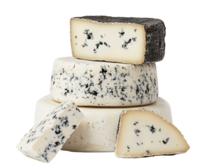 Assorted gourmet cheeses with blue mold, isolated on transparent cutout background