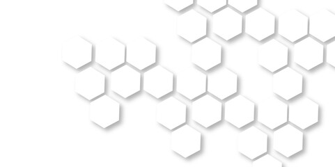 White hexagon 3D background texture. modern abstract polygonal pattern. 3d rendering illustration. Futuristic abstract banner. white and black lines 3d Hexagonal. honeycomb white Background.