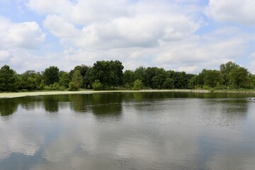 Fototapeta premium The peaceful lake in the country on a sunny day.