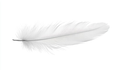 Fototapeta premium Soft White Feather Isolated on a Bright Background for Design Use