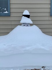 Snowman for Christmas 